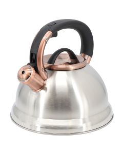 Mr. Coffee Flintshire 2.2 Quart Stainless Steel Whistling Tea Kettle in Silver